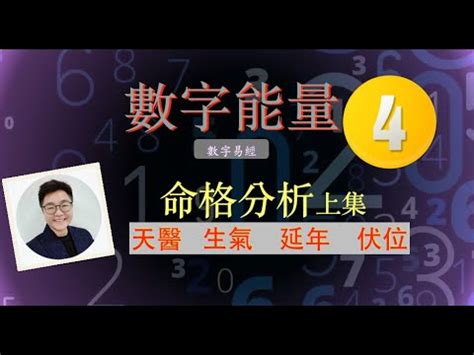 延年天醫|【天醫 延年 生氣】解鎖你的數字運勢：天醫、延年、生氣號碼全。